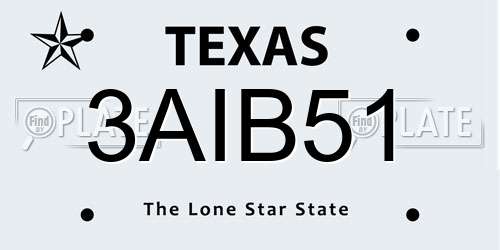 3AIB51 Texas License Plate