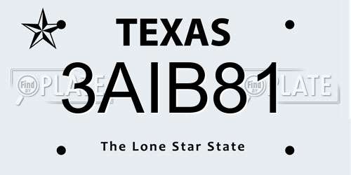 3AIB81 Texas License Plate