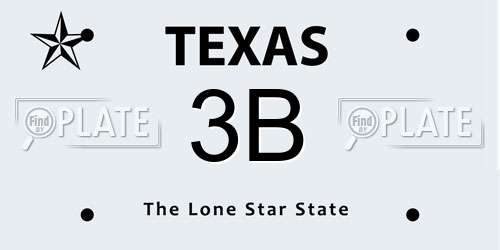 3B Texas License Plate