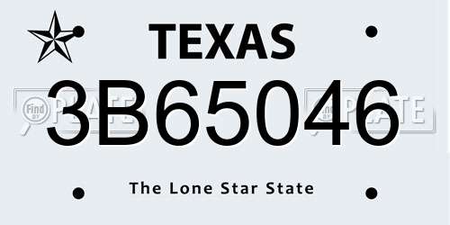 3B65046 Texas License Plate