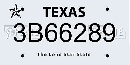 3B66289 Texas License Plate