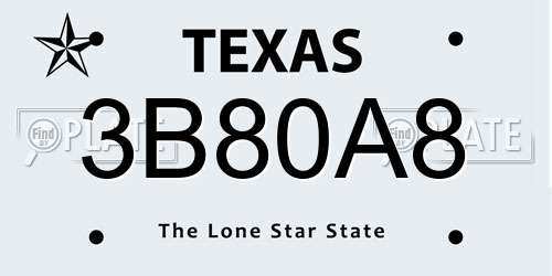3B80A8 Texas License Plate