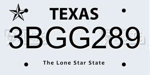 3BGG289 Texas License Plate