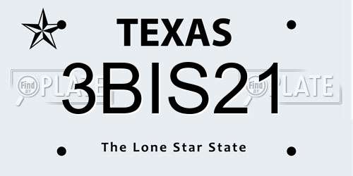 3BIS21 Texas License Plate