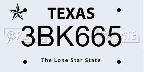 3BK665 Texas License Plate