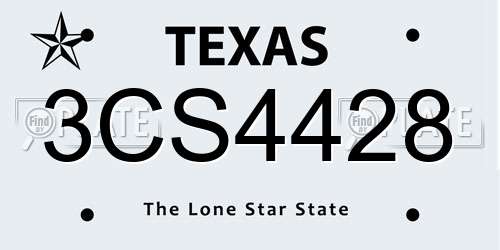 3CS4428 Texas License Plate