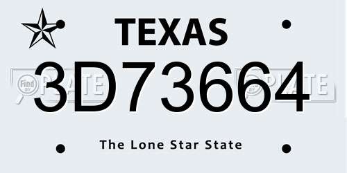 3D73664 Texas License Plate