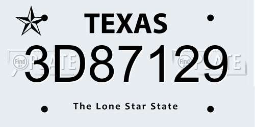 3D87129 Texas License Plate