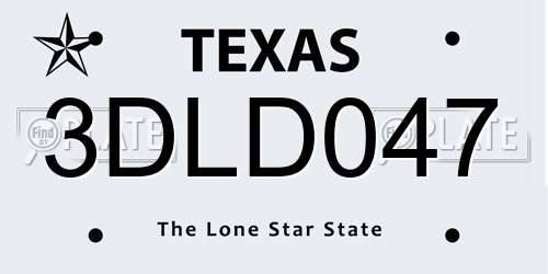 3DLD047 Texas License Plate