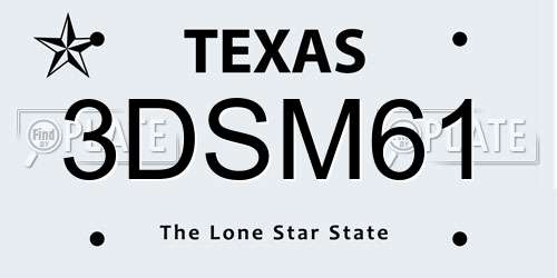 3DSM61 Texas License Plate