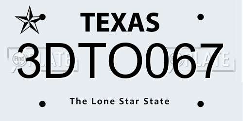 3DTO067 Texas License Plate