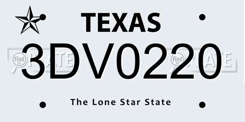 3DV0220 Texas License Plate