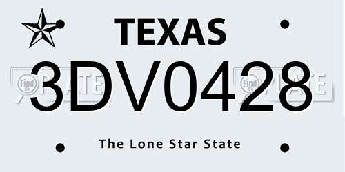 3DV0428 Texas License Plate