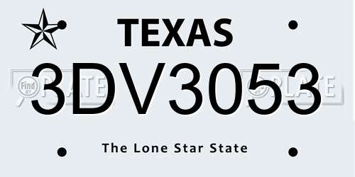 3DV3053 Texas License Plate
