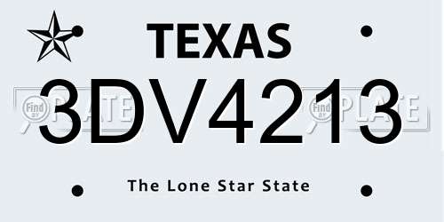 3DV4213 Texas License Plate