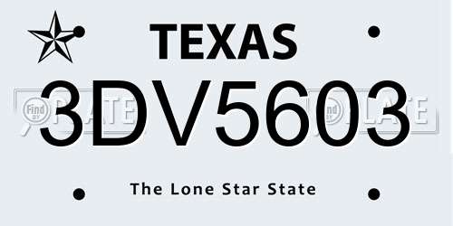 3DV5603 Texas License Plate