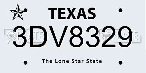 3DV8329 Texas License Plate