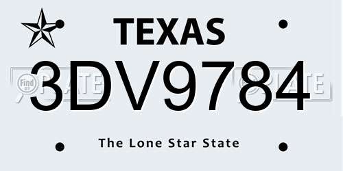 3DV9784 Texas License Plate
