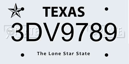 3DV9789 Texas License Plate