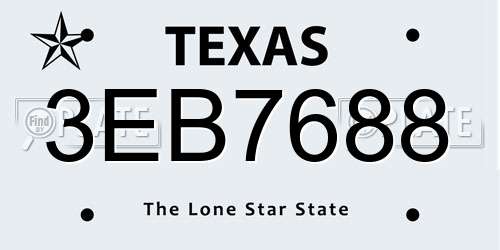 3EB7688 Texas License Plate