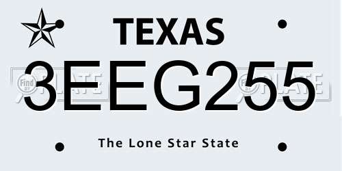 3EEG255 Texas License Plate