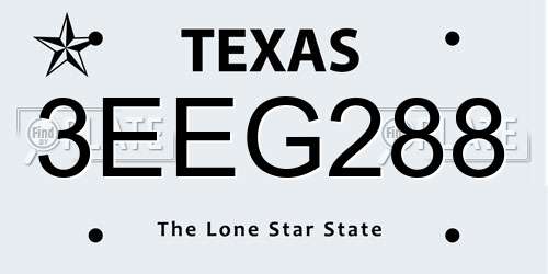3EEG288 Texas License Plate