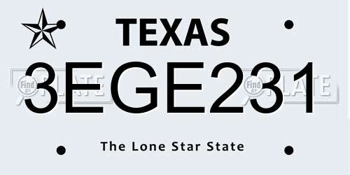 3EGE231 Texas License Plate