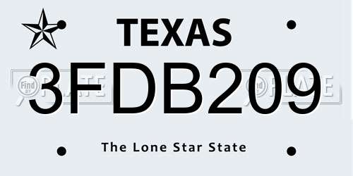 3FDB209 Texas License Plate
