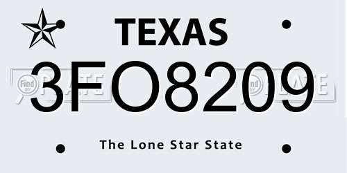 3FO8209 Texas License Plate