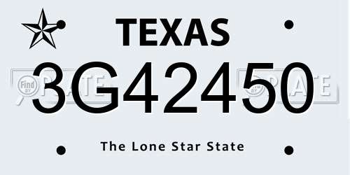 3G42450 Texas License Plate