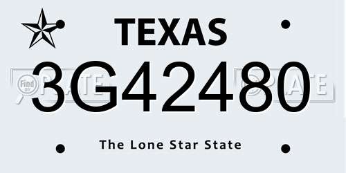 3G42480 Texas License Plate