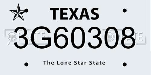 3G60308 Texas License Plate