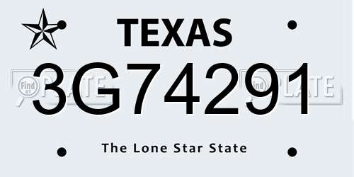 3G74291 Texas License Plate