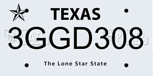 3GGD308 Texas License Plate