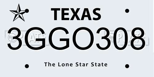 3GGO308 Texas License Plate