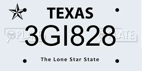 3GI828 Texas License Plate