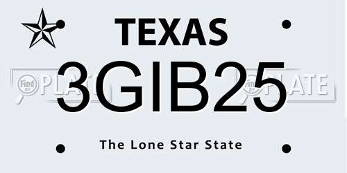 3GIB25 Texas License Plate