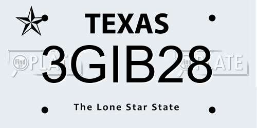 3GIB28 Texas License Plate