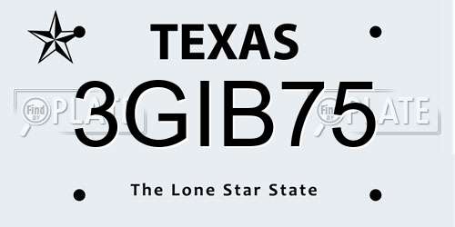3GIB75 Texas License Plate