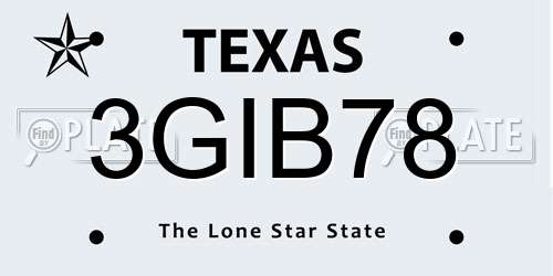 3GIB78 Texas License Plate