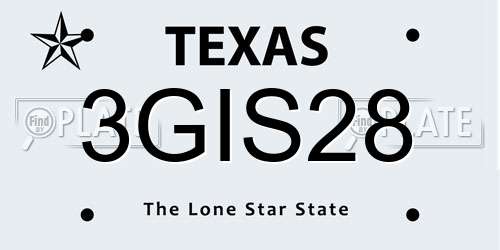 3GIS28 Texas License Plate