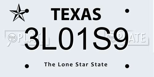 3L01S9 Texas License Plate