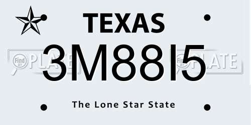 3M88I5 Texas License Plate