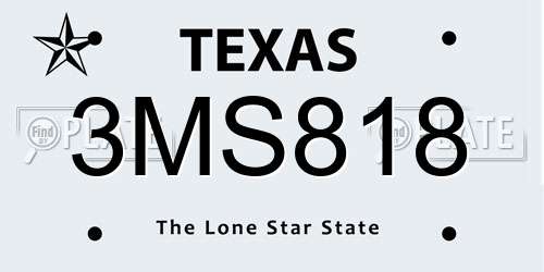 3MS818 Texas License Plate
