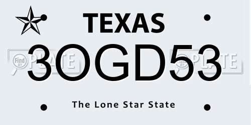 3OGD53 Texas License Plate