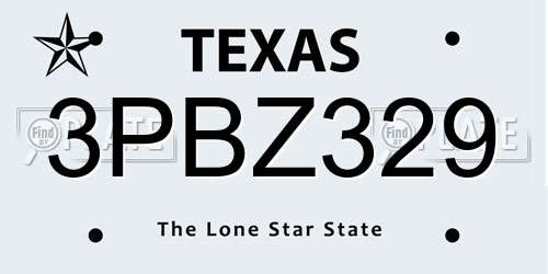 3PBZ329 Texas License Plate
