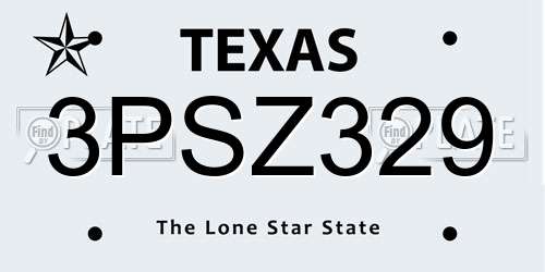 3PSZ329 Texas License Plate