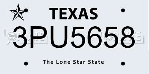 3PU5658 Texas License Plate