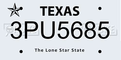 3PU5685 Texas License Plate