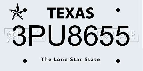 3PU8655 Texas License Plate